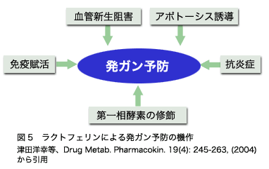 図5ラクトフェリンによる発ガン予防の機作